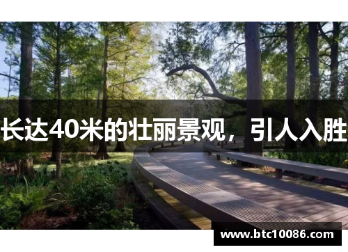 长达40米的壮丽景观，引人入胜